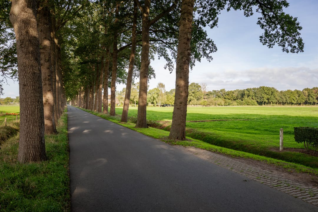 Photo 13 of Randerstraat