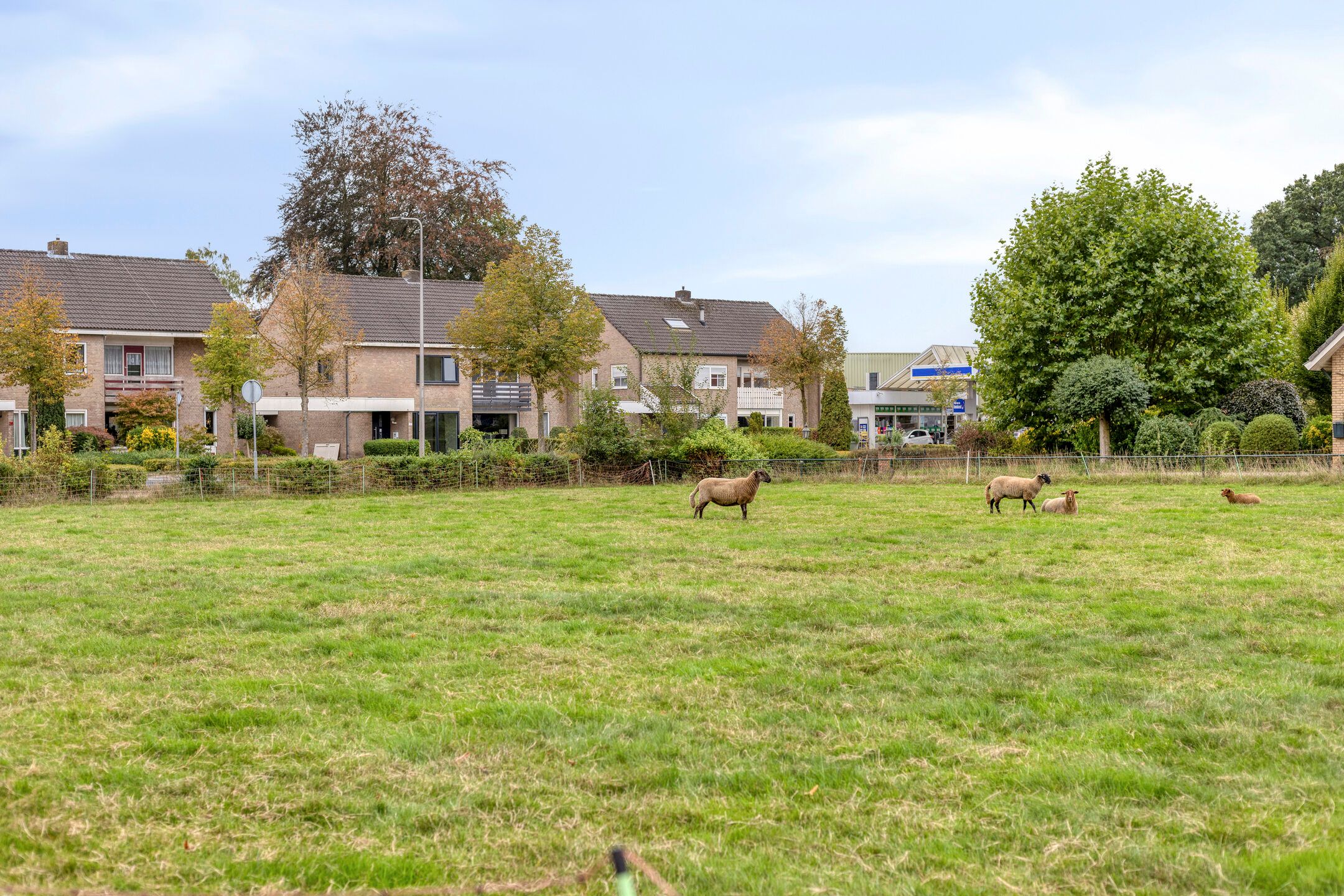 Foto 42 van Hengelosestraat 20
