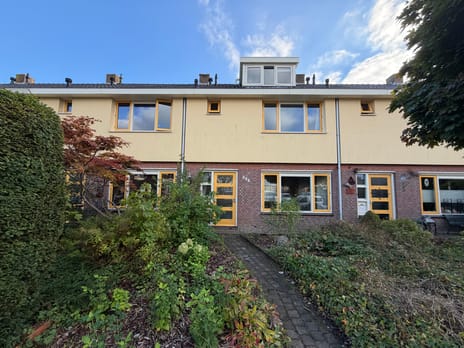 Hertog Albrechtstraat thumbnail