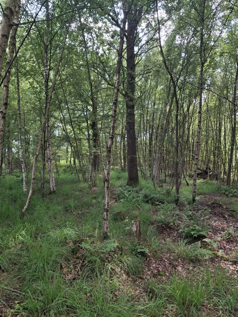 View photos