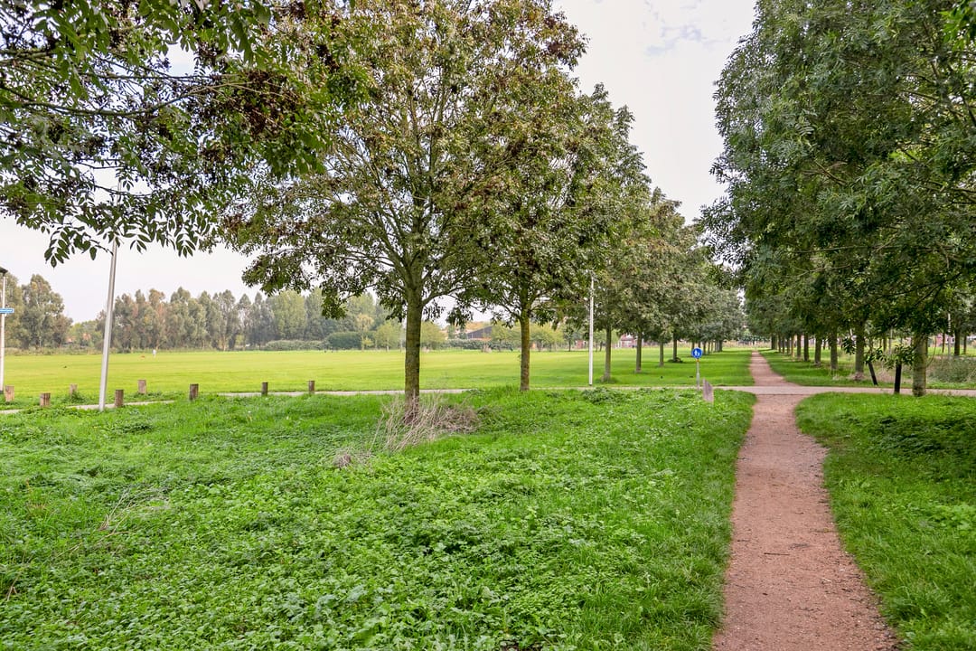 Photo 38 of De Schutse 15