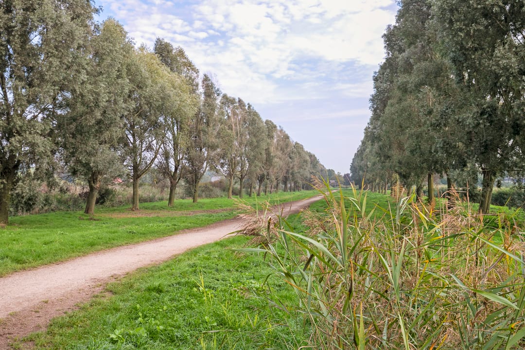Photo 41 of De Schutse 15
