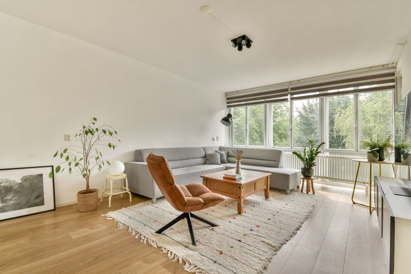 Photo of Het Hoogt 245