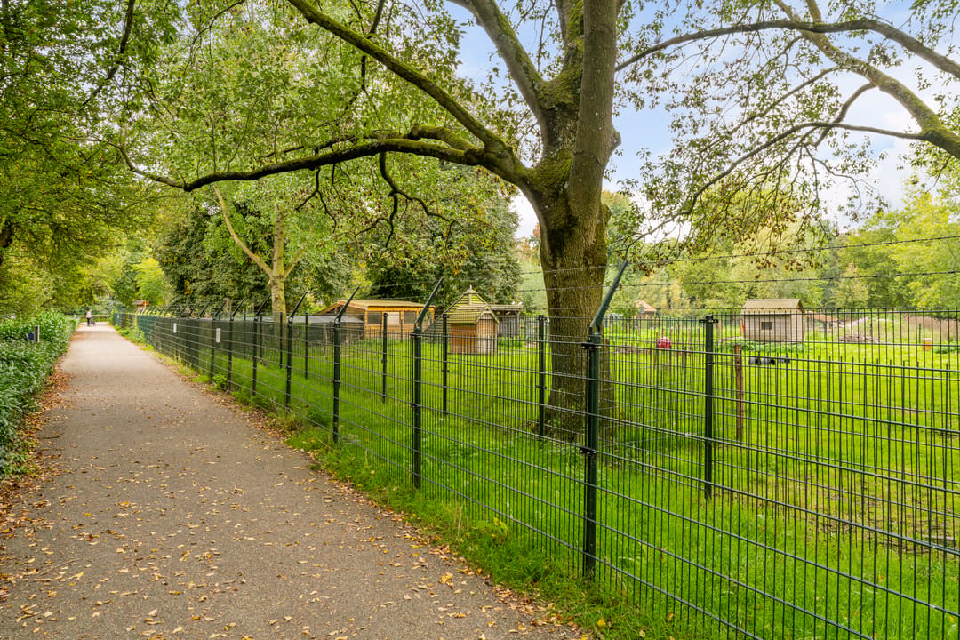 Photo 31 of Kruiskampsingel 397