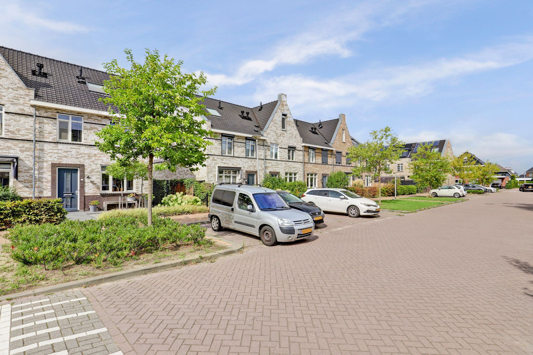 Foto 42 van Aalscholver 16