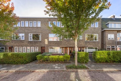 Van Hamelstraat thumbnail