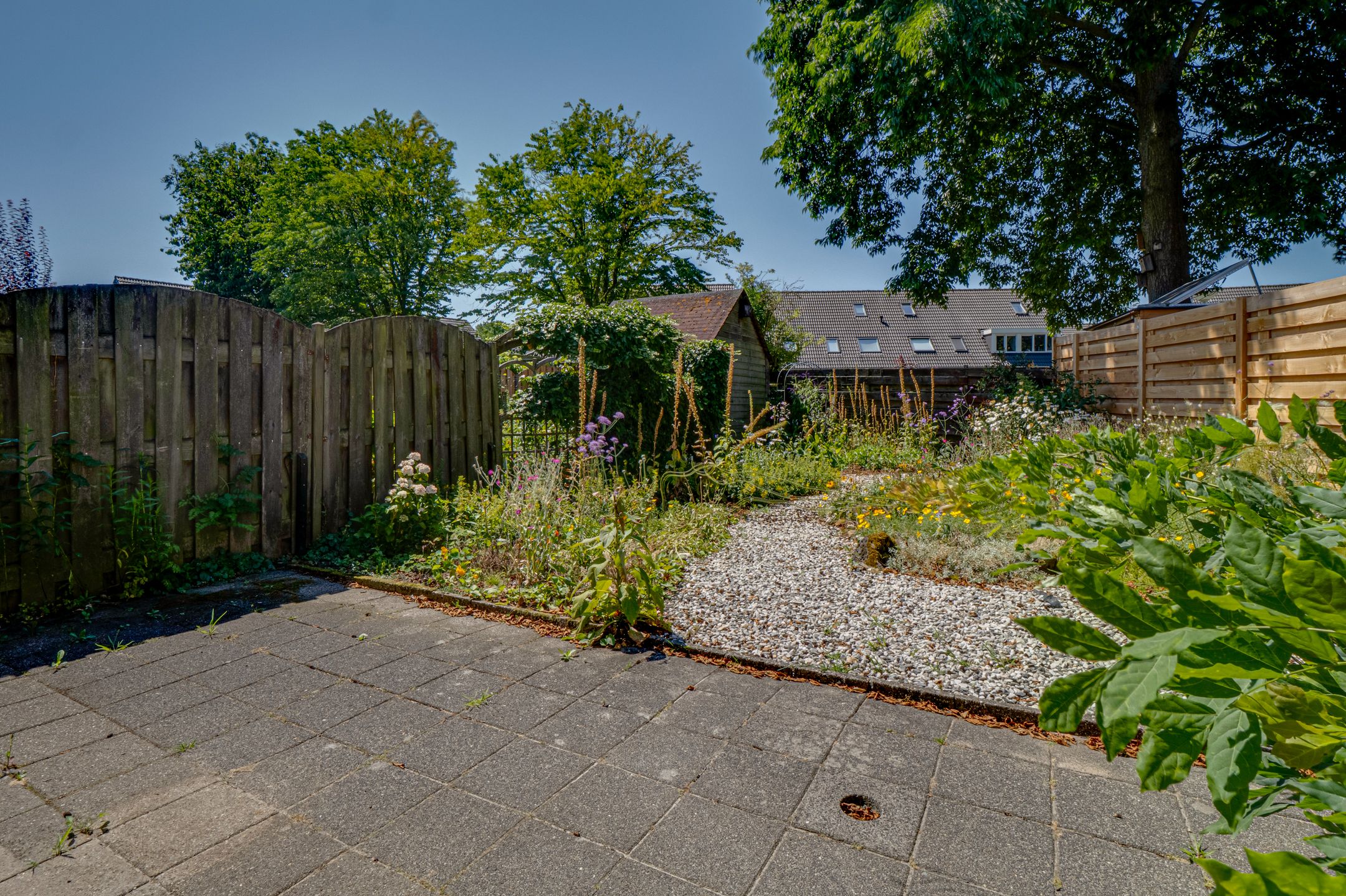 Photo 30 of Turfstreek 46