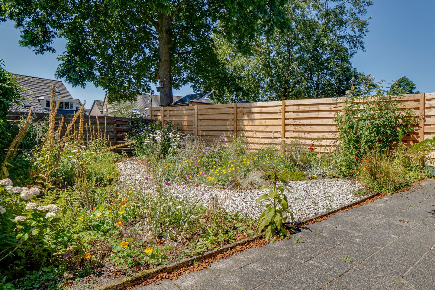 Photo 34 of Turfstreek 46