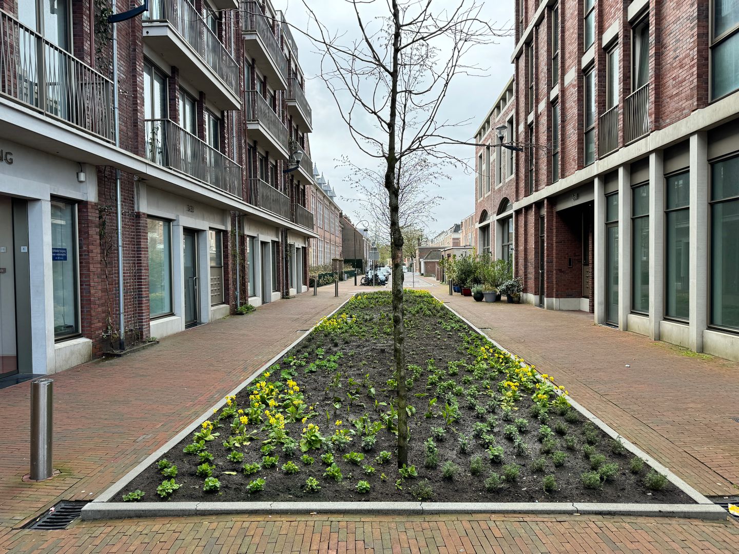 Foto 5 van Luitestraat 5