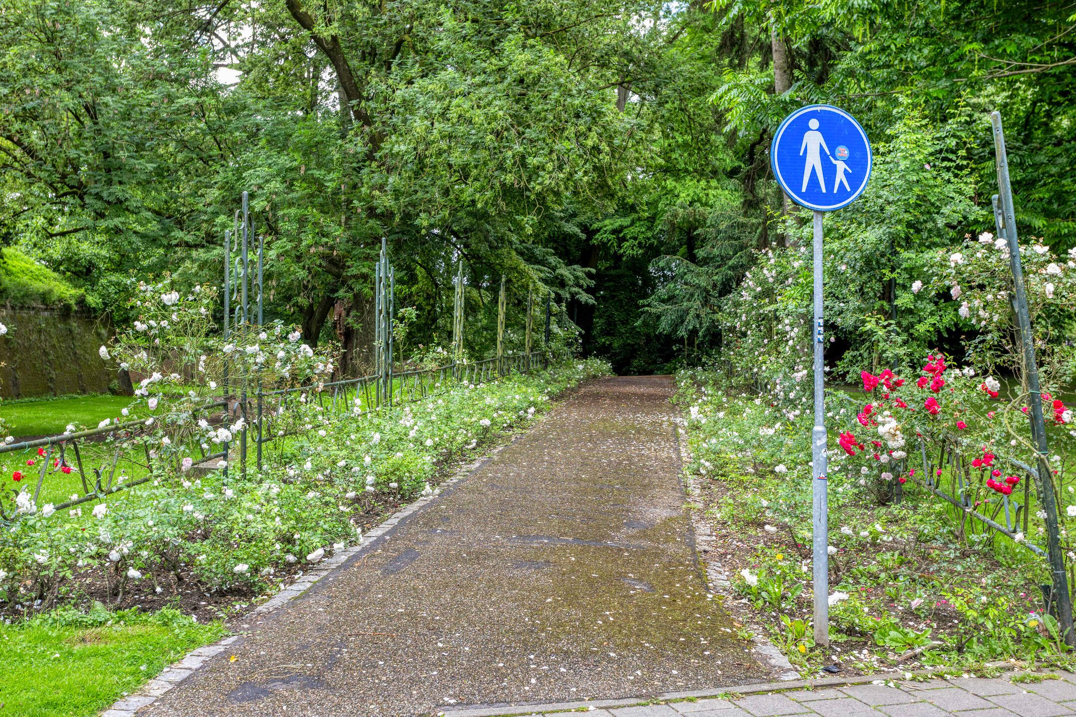 Foto 45 van Tongerseweg 48