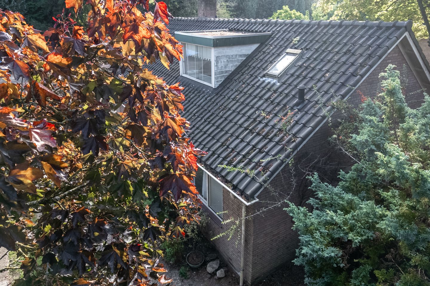Photo 55 of Archimedesstraat 56
