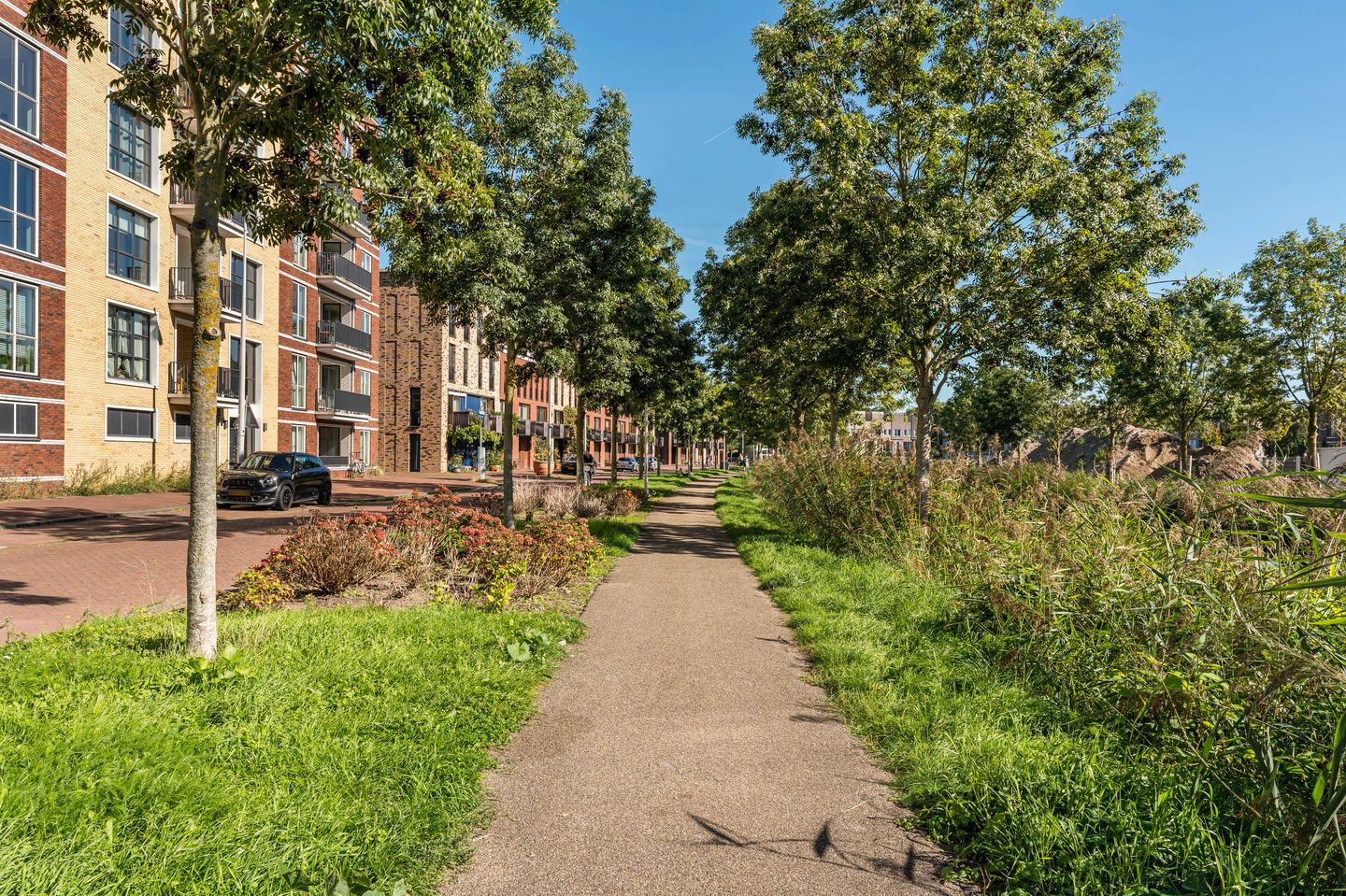 Photo 64 of C. Kruyswijkstraat 21