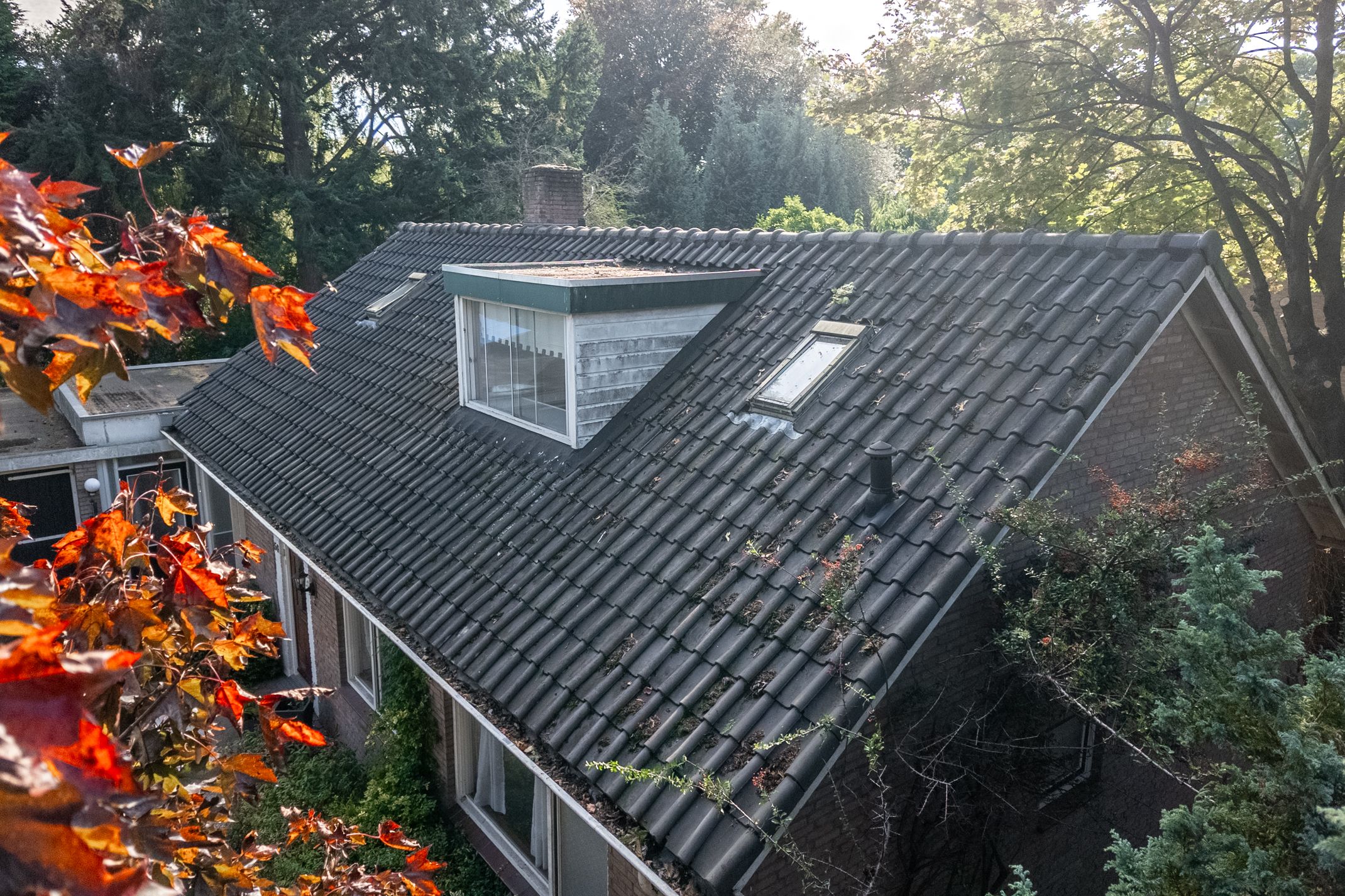 Photo 54 of Archimedesstraat 56