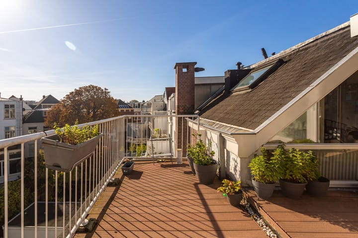 Photo 2 of Anna Paulownastraat 113-B