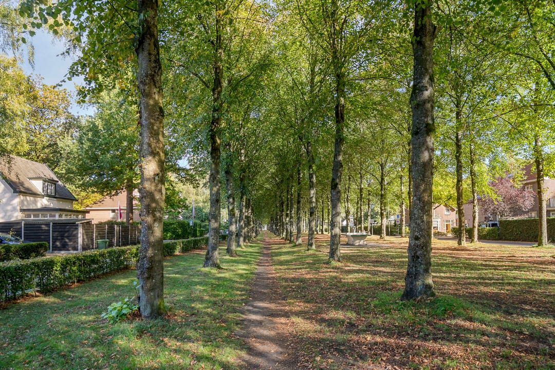 Photo 47 of Middellaan 2