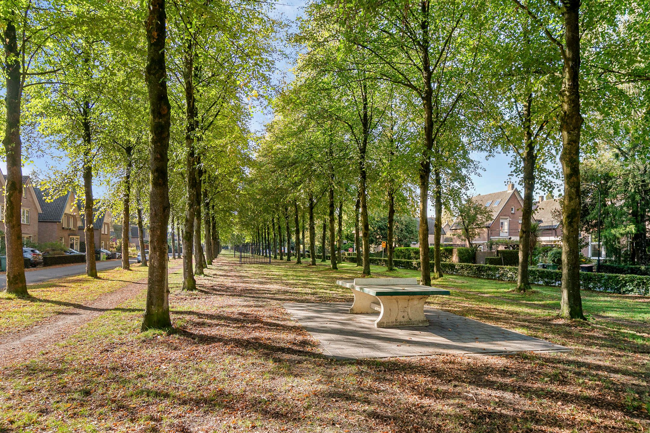 Photo 48 of Middellaan 2