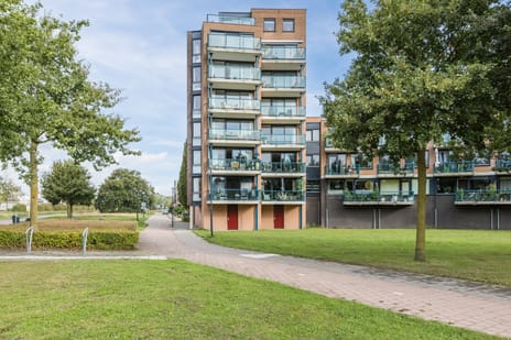 Sara Burgerhartstraat thumbnail