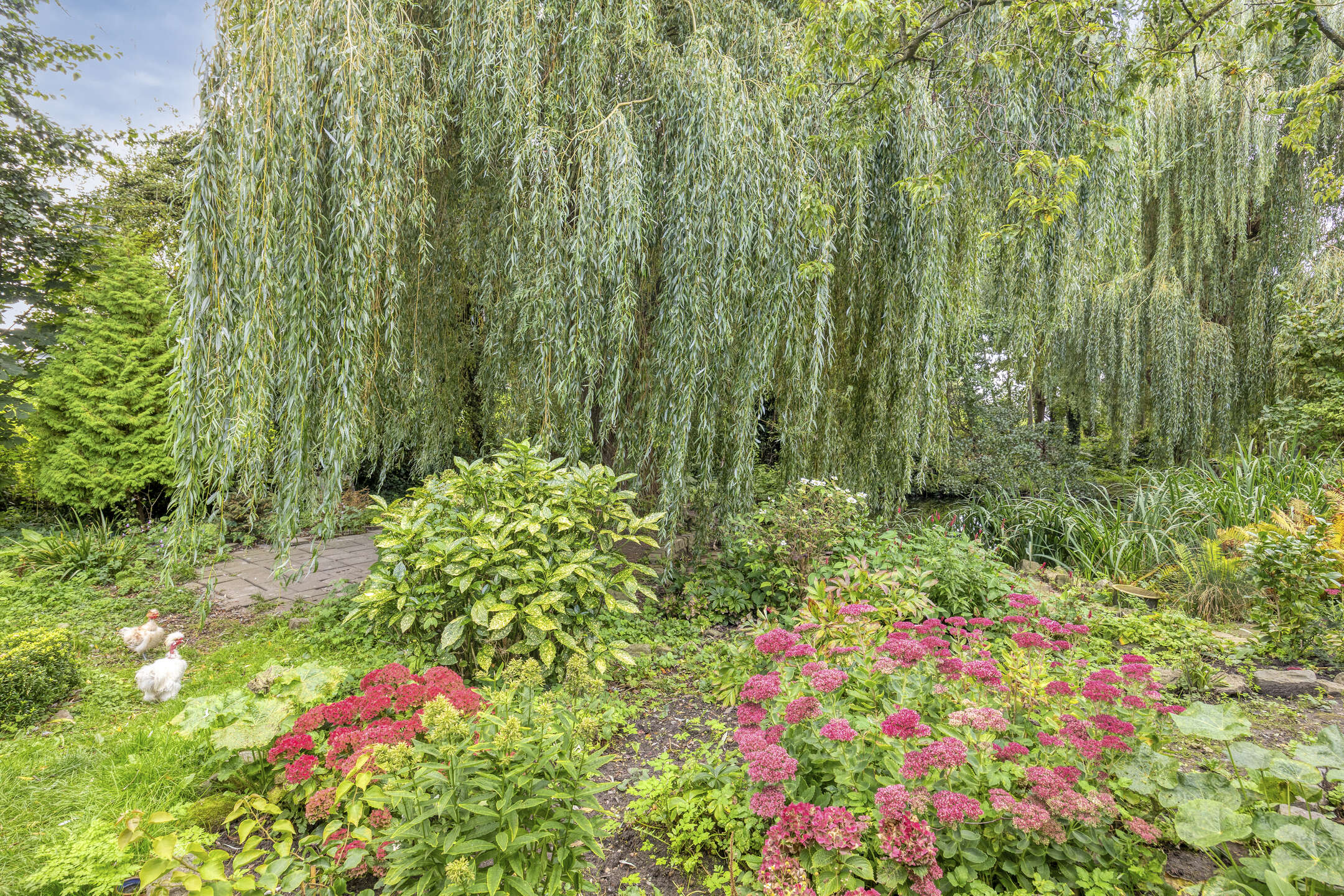 Photo 3 of Korte Welleweg 1