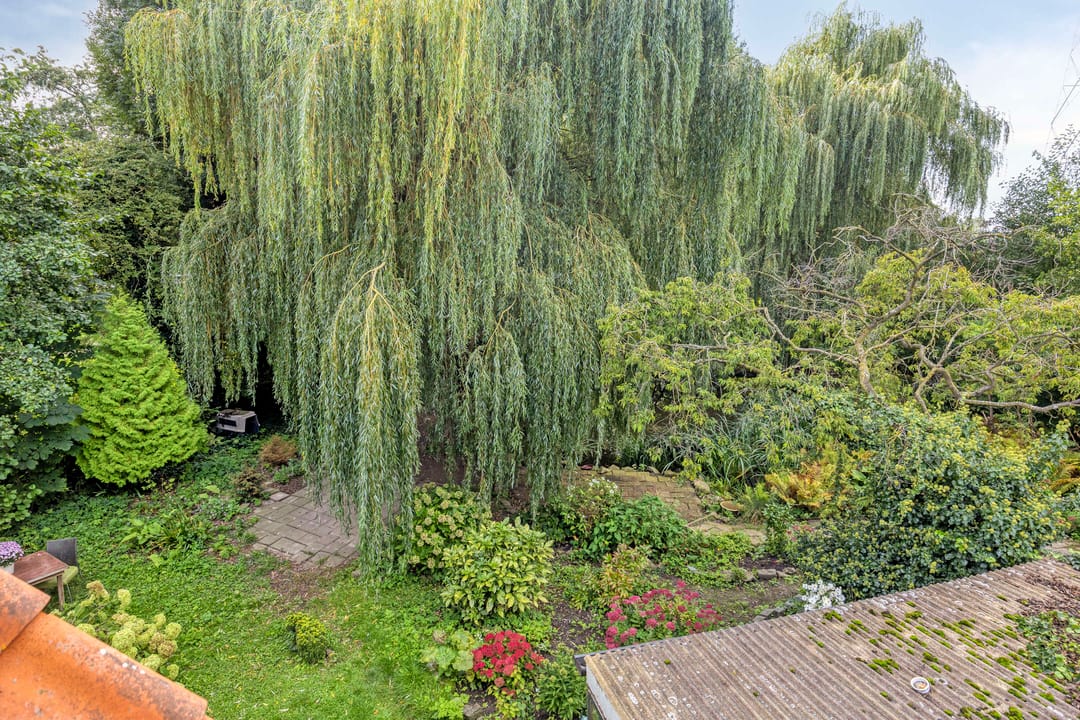Photo 38 of Korte Welleweg 1