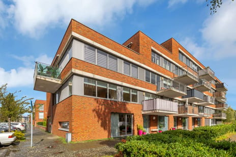 Johan de Wittstraat thumbnail