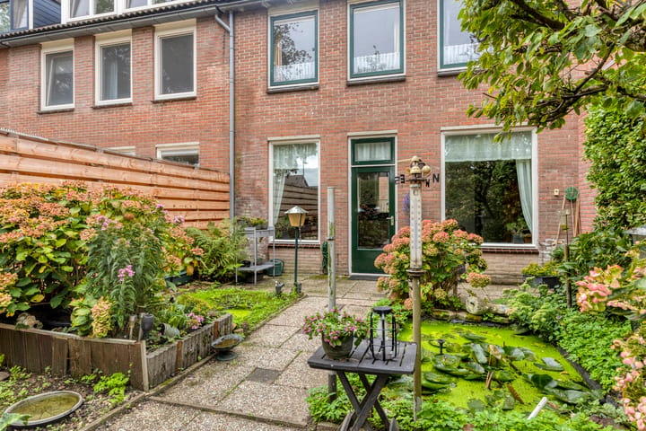 Foto 4 van de Zonnebaars 42