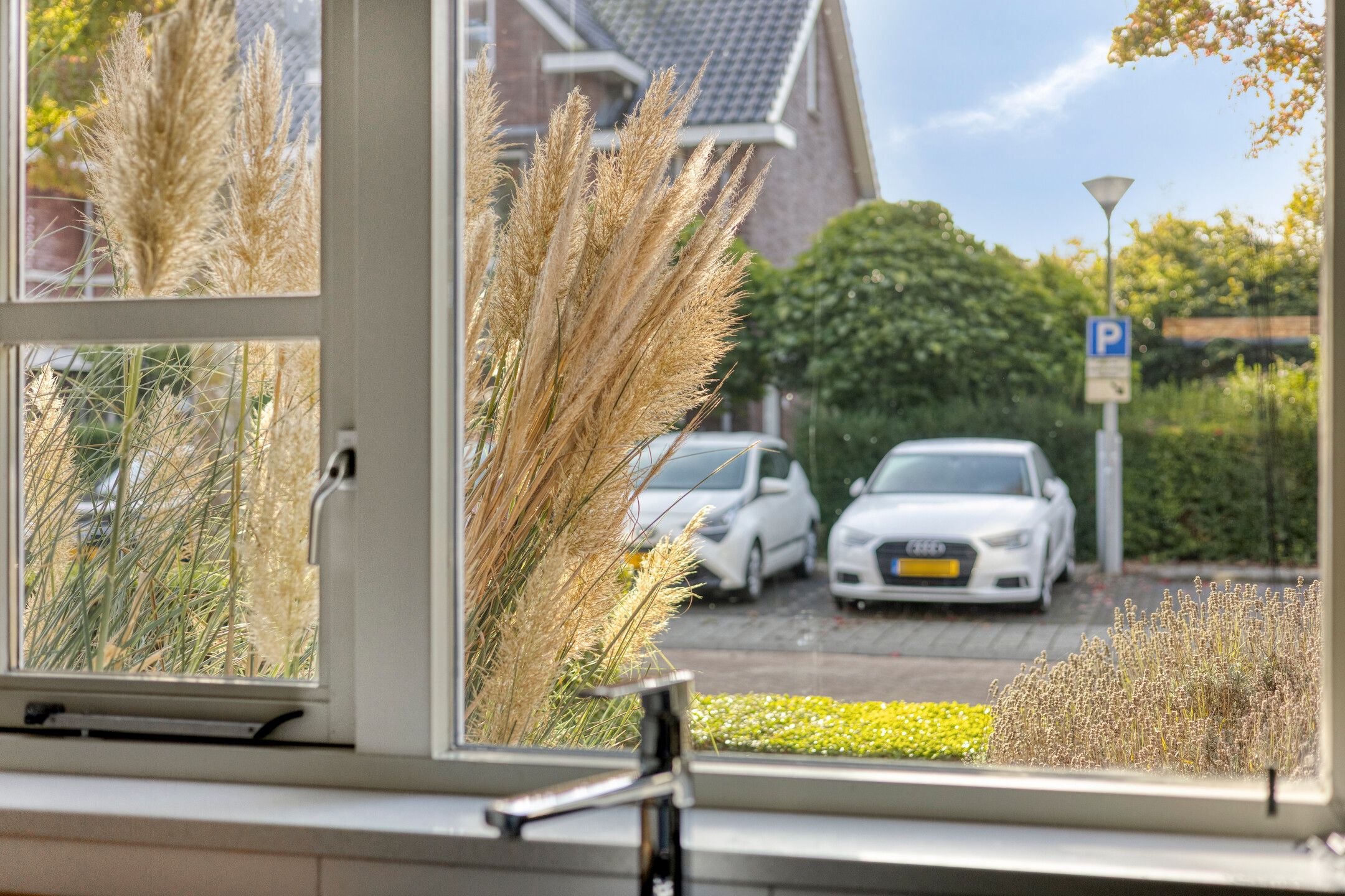 Photo 9 of Oldruitenborghstraat 50