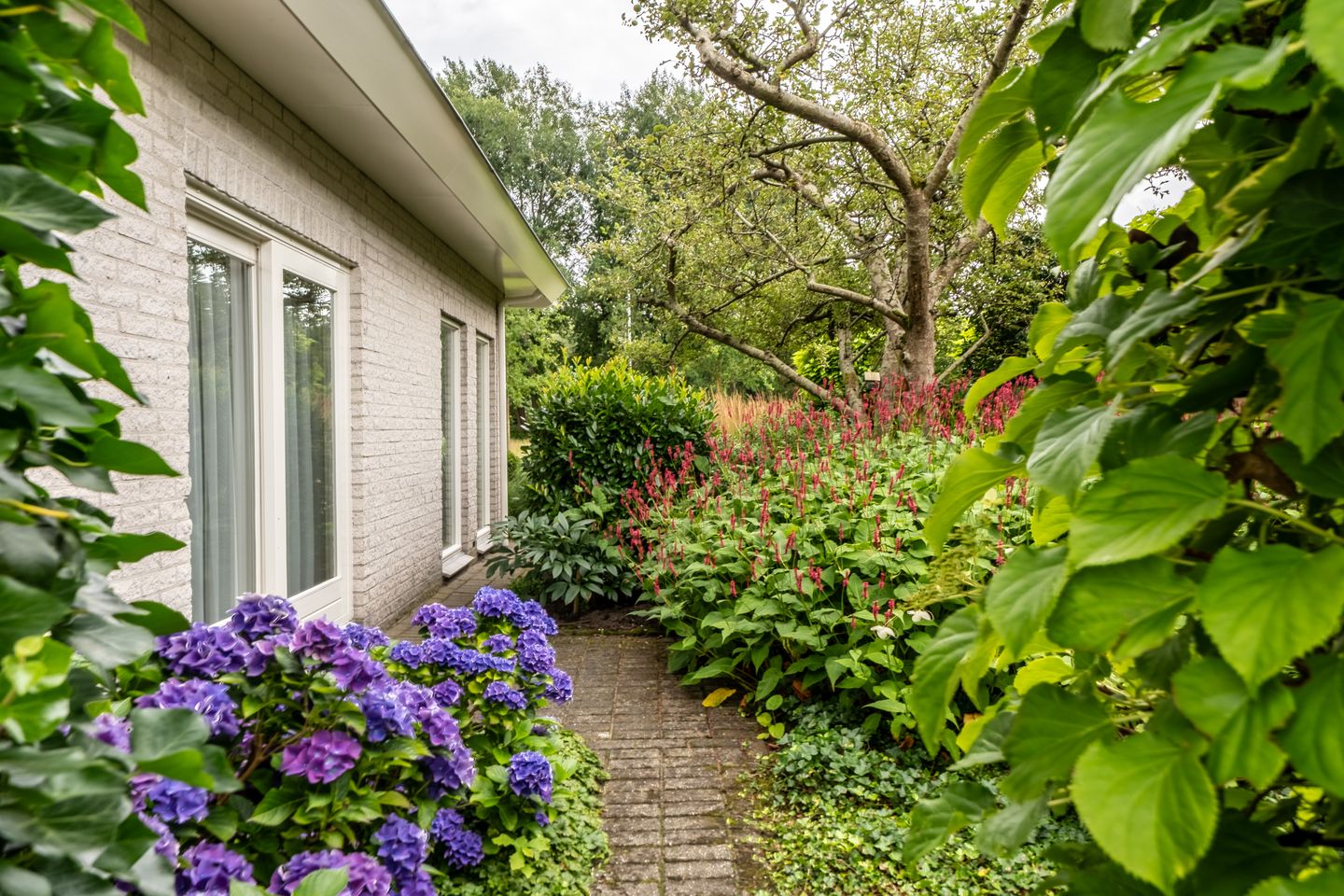 Photo 55 of Paulus Potterstraat 5