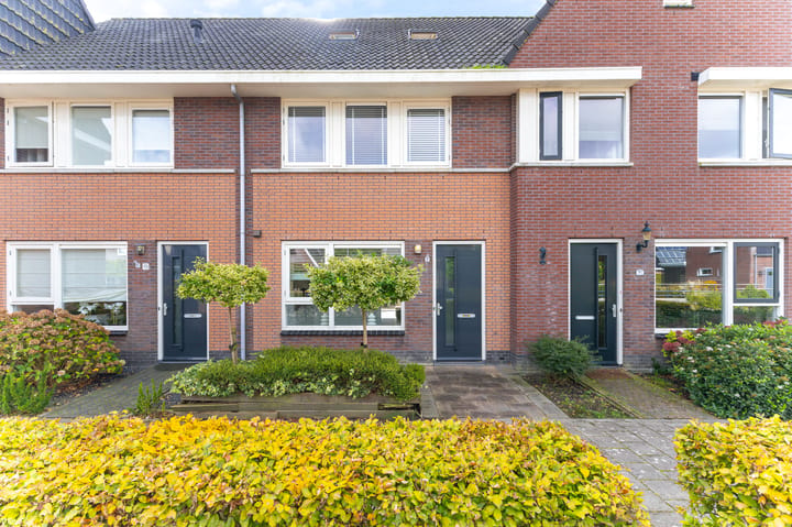 Foto 4 van De Rode Eenhoorn 21