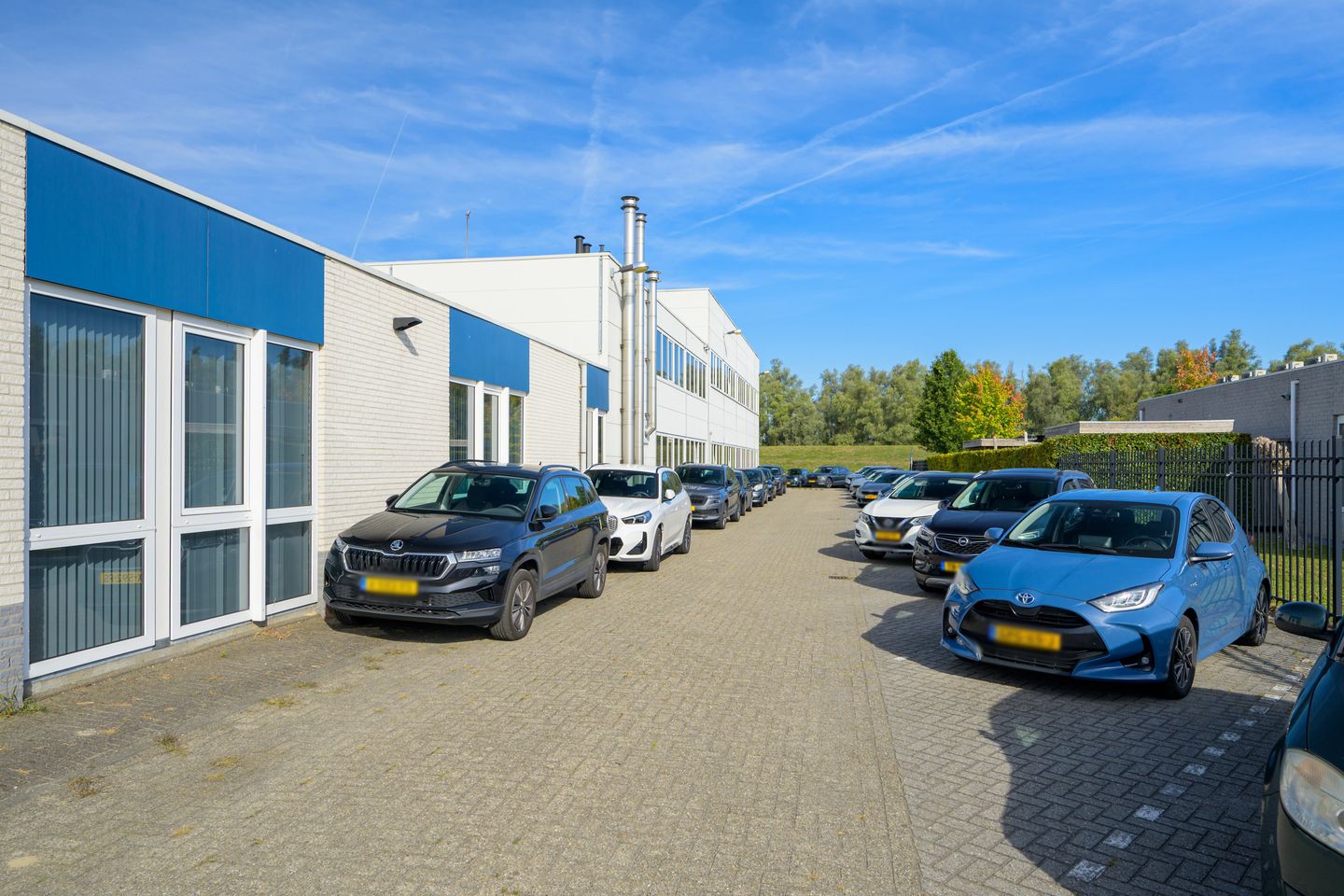 Bekijk foto 5 van Meerval 5