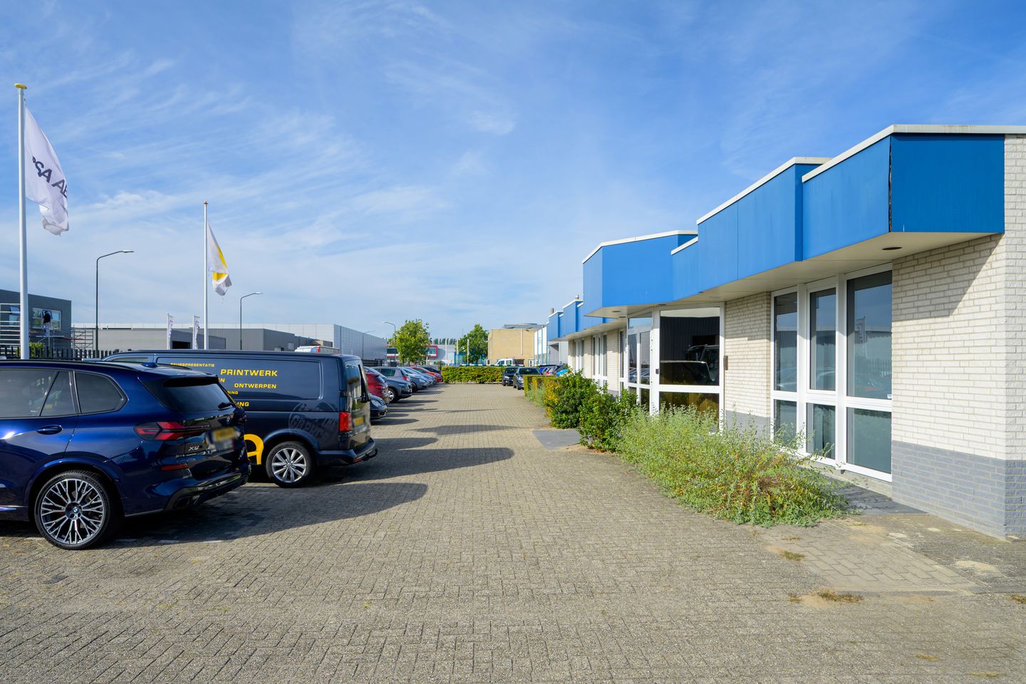 Bekijk foto 4 van Meerval 5