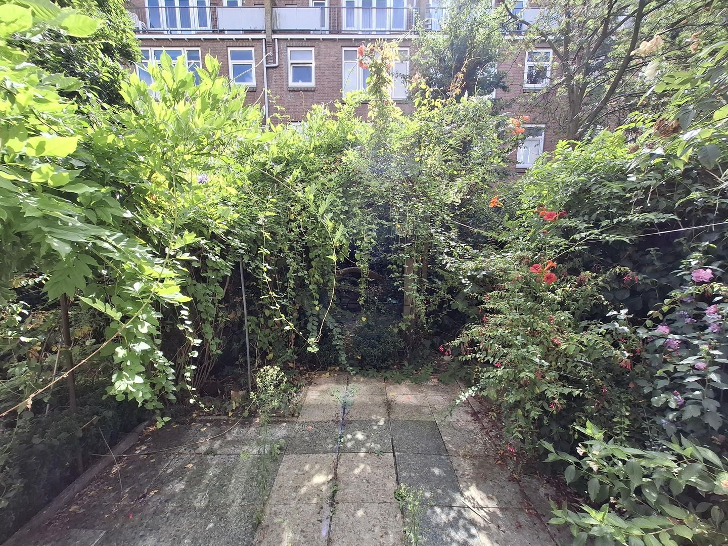 Photo 10 of Frank van Borselenstraat 12-B
