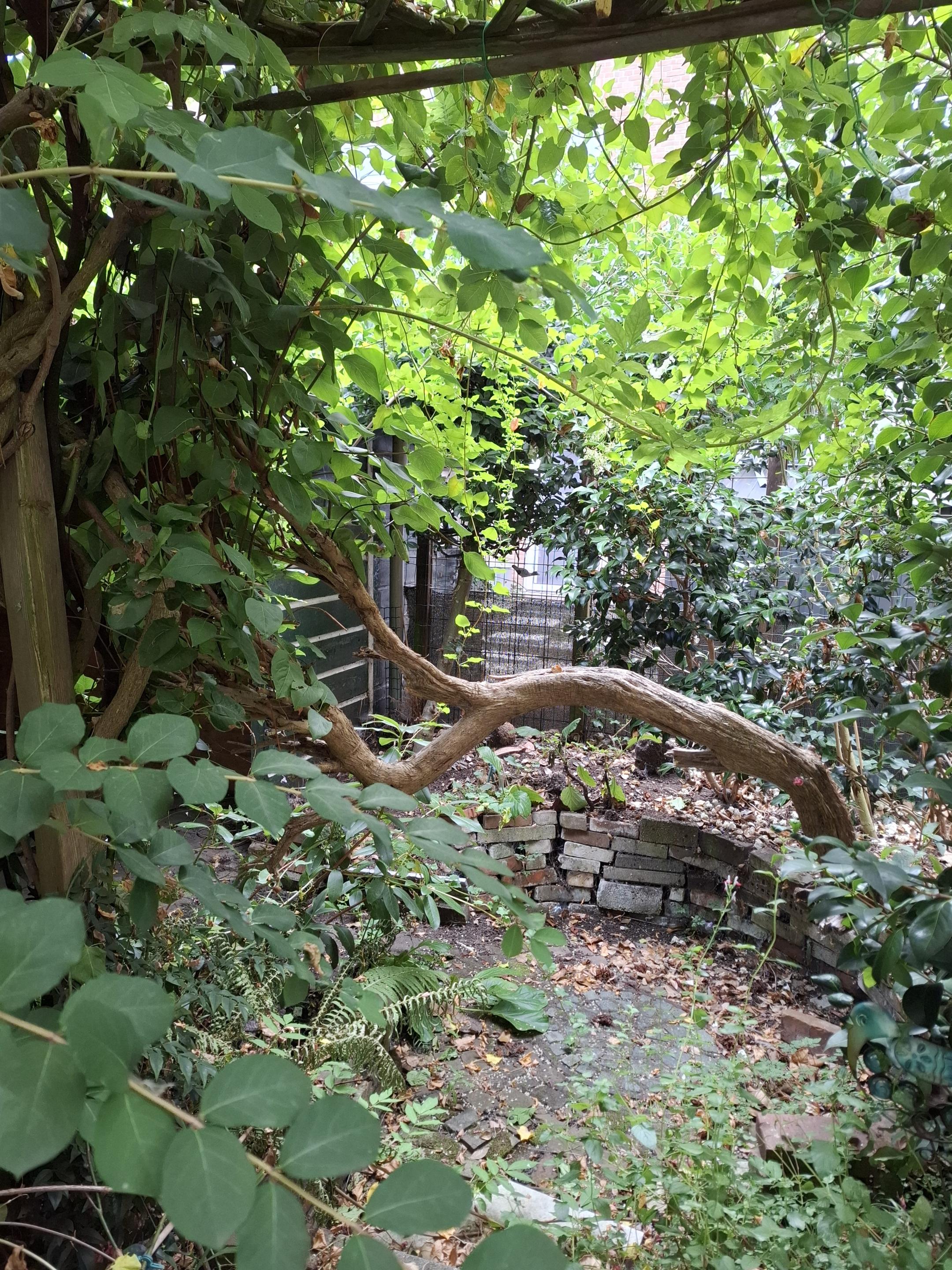 Photo 12 of Frank van Borselenstraat 12-B