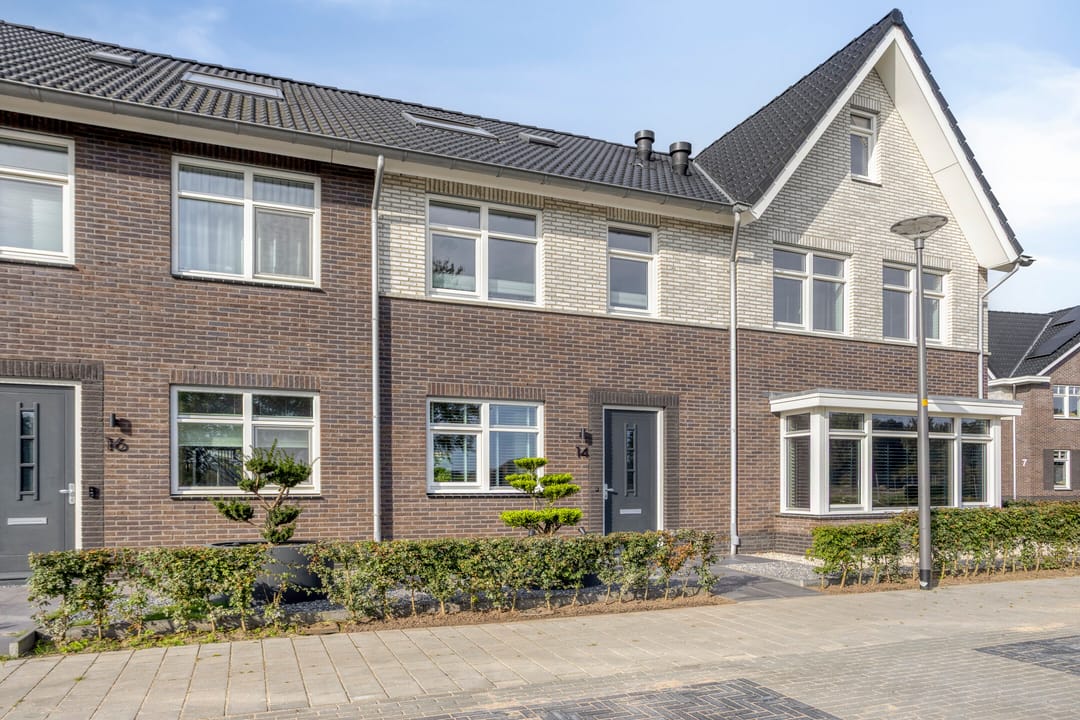 Foto 1 van Zwartebes 14