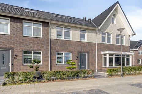 Zwartebes thumbnail