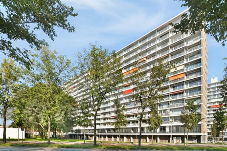 Burgemeester Hogguerstraat thumbnail
