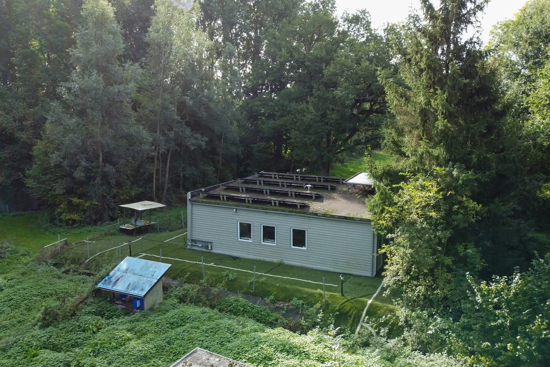 Photo 31 of Matenasche Scheidkade 9