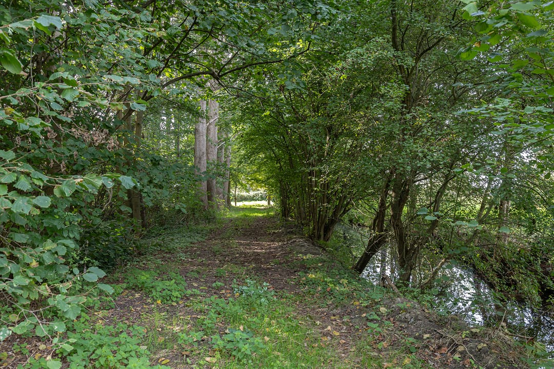 Photo 17 of Matenasche Scheidkade 9