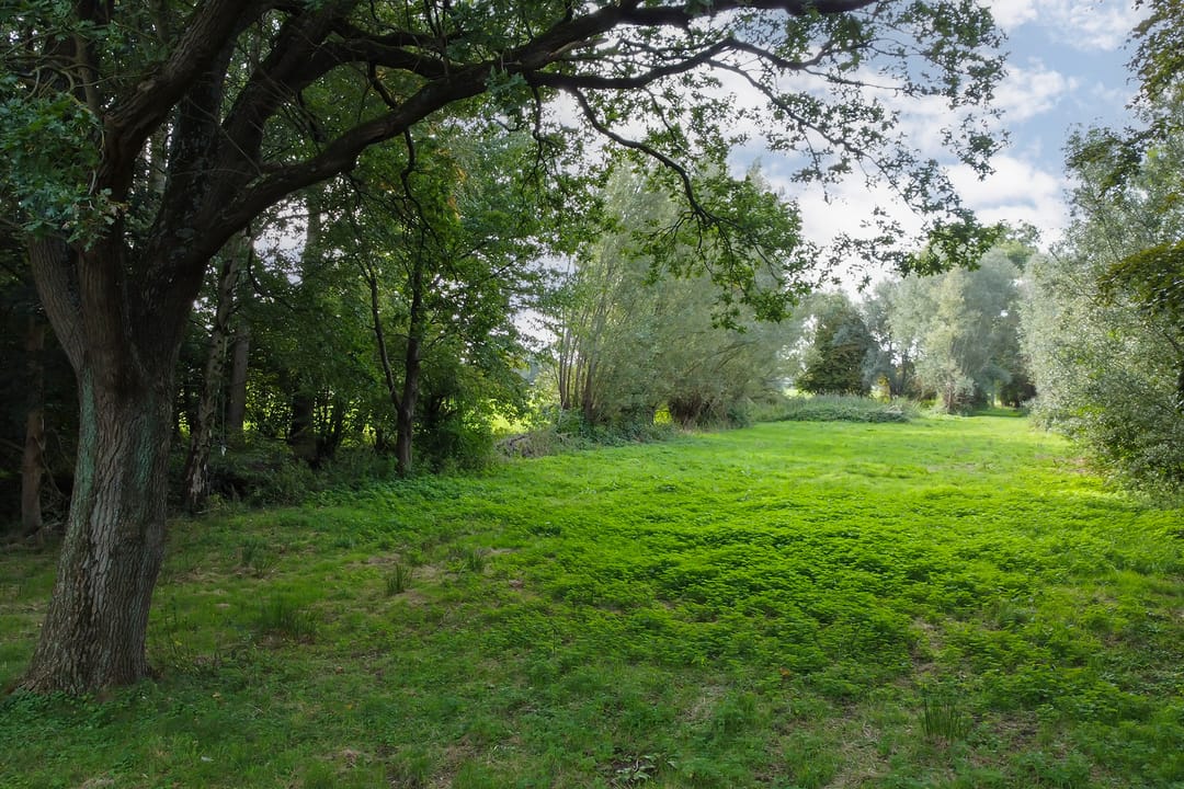 Photo 7 of Matenasche Scheidkade 9