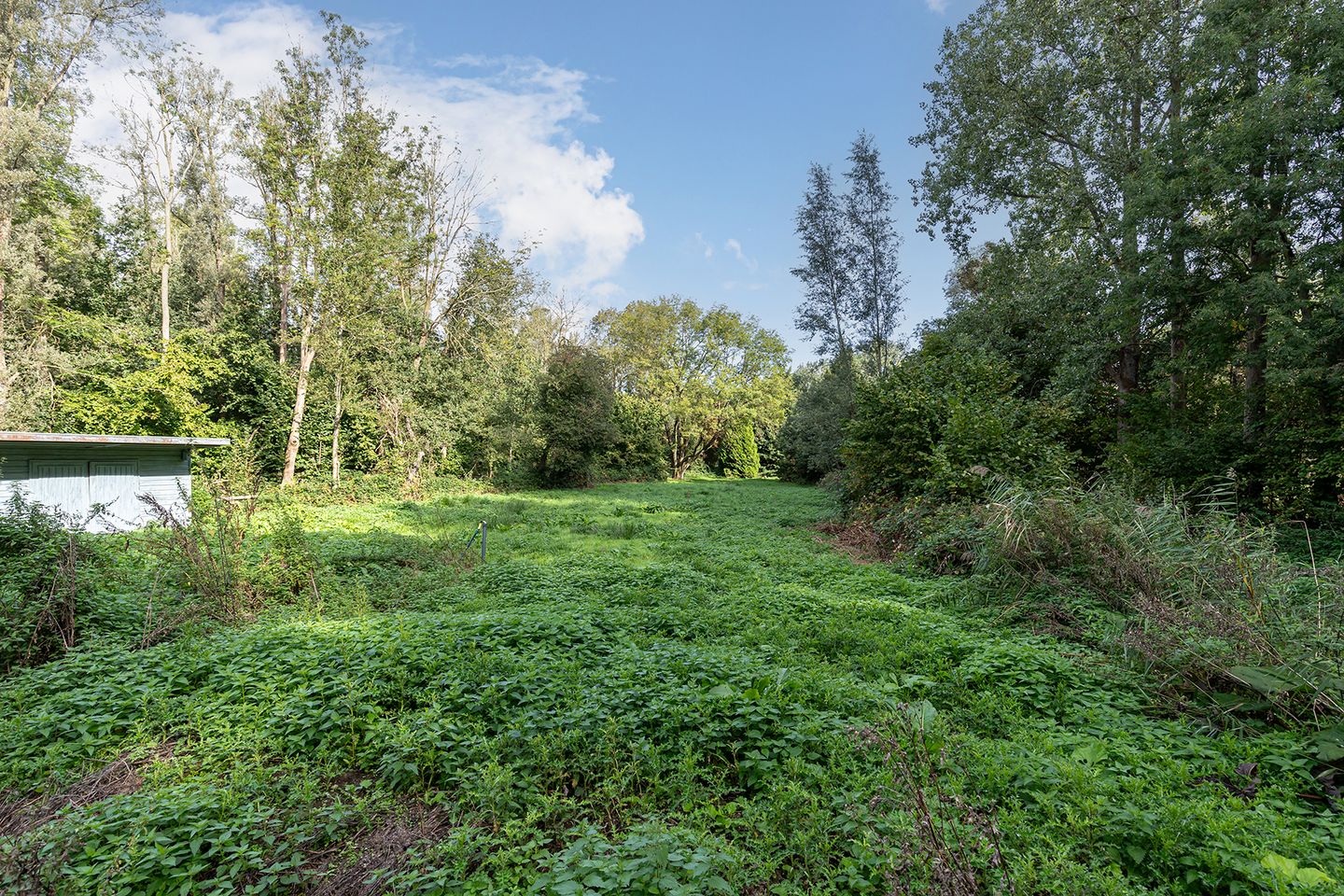 Photo 10 of Matenasche Scheidkade 9