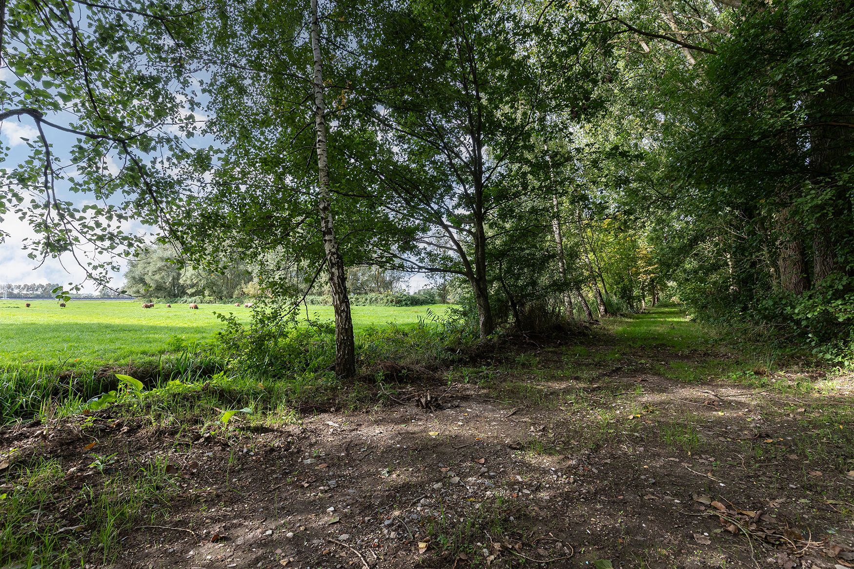 Photo 15 of Matenasche Scheidkade 9