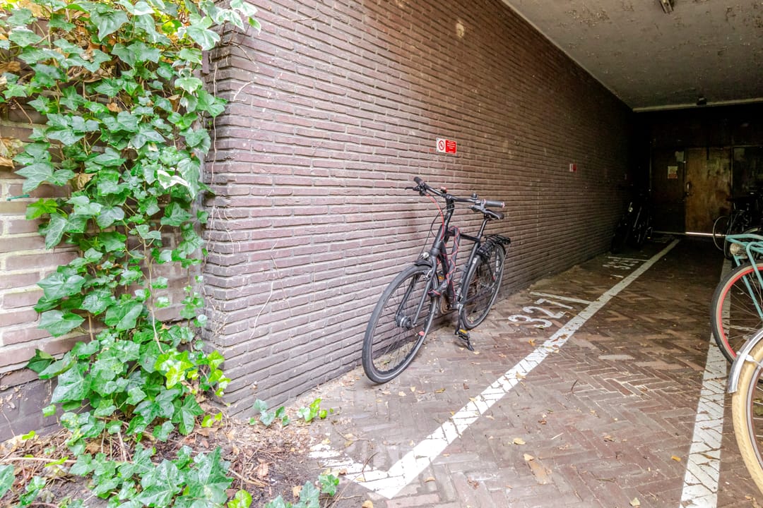 Photo 41 of Oudenoord 327