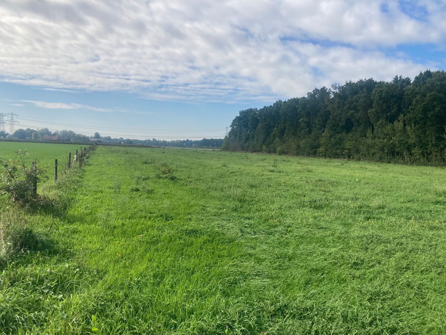 Heldenseweg - Neer - Afbeelding 4