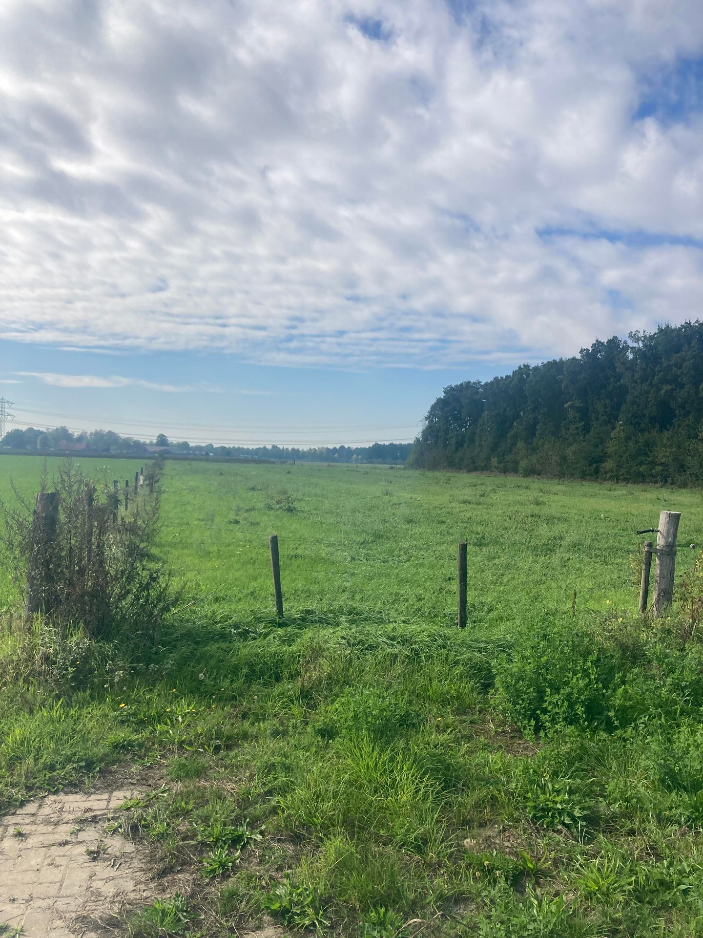 Heldenseweg - Neer - Afbeelding 5
