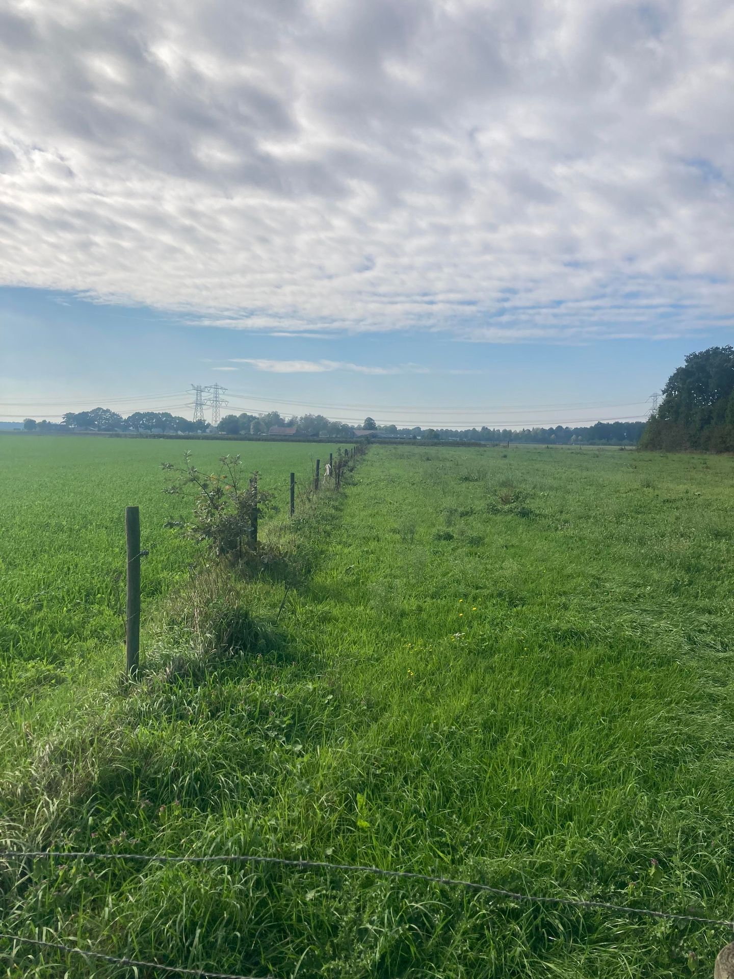 Heldenseweg - Neer - Afbeelding 6