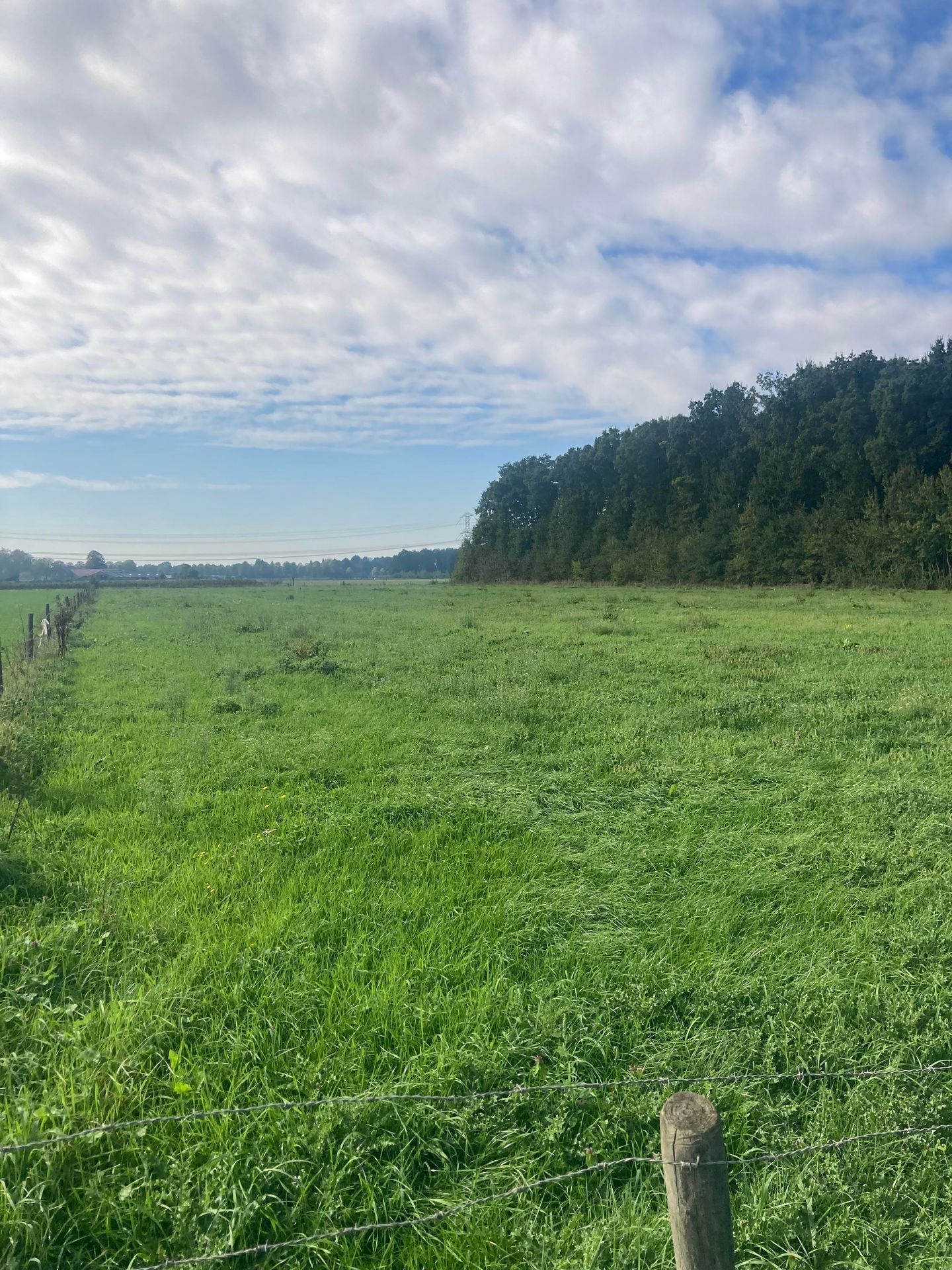 Heldenseweg - Neer - Afbeelding 3