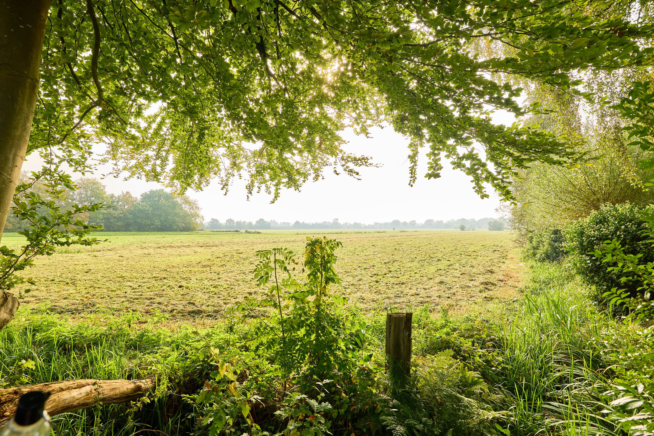 Photo 21 of Stadhouderslaan 104