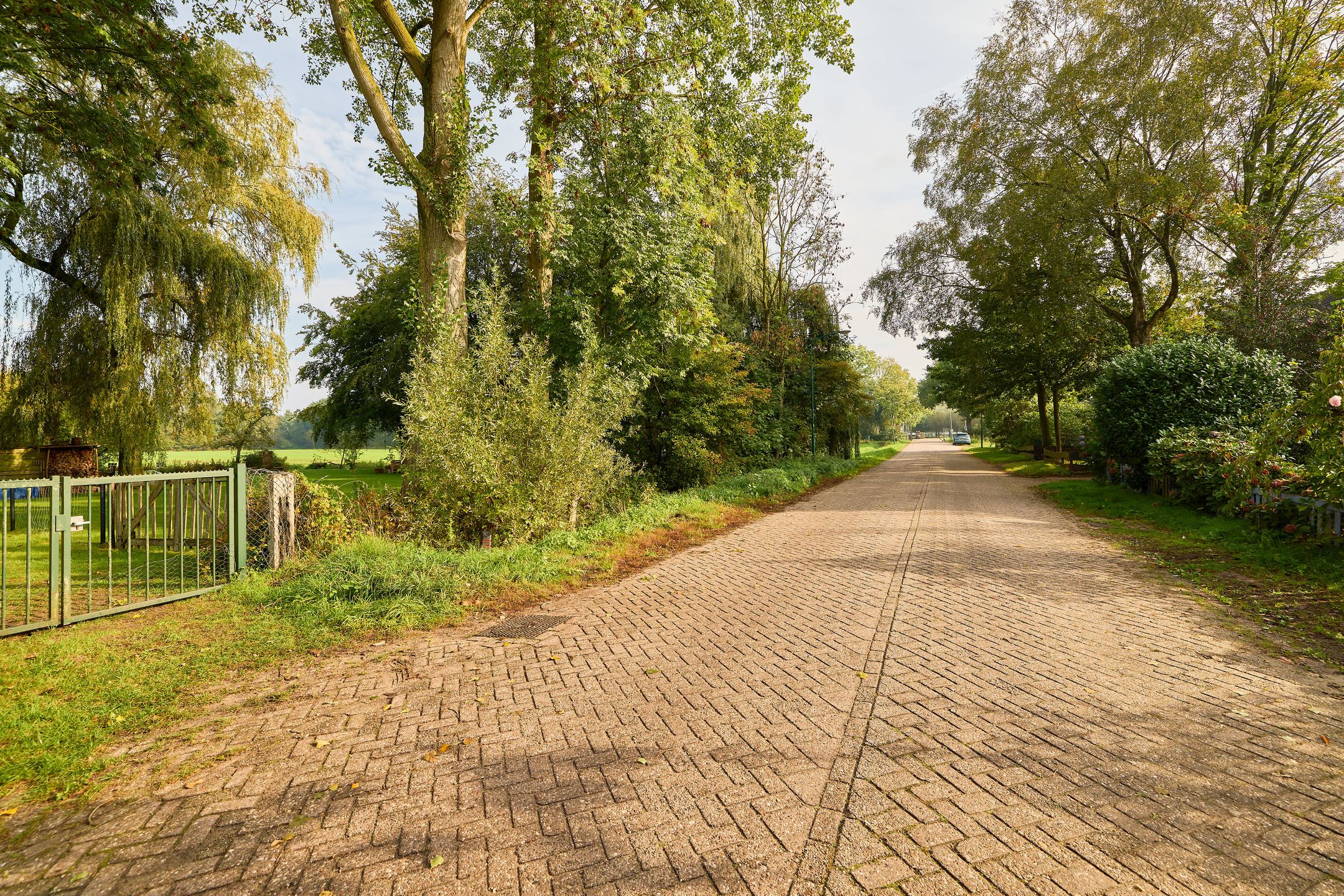 Photo 57 of Stadhouderslaan 104