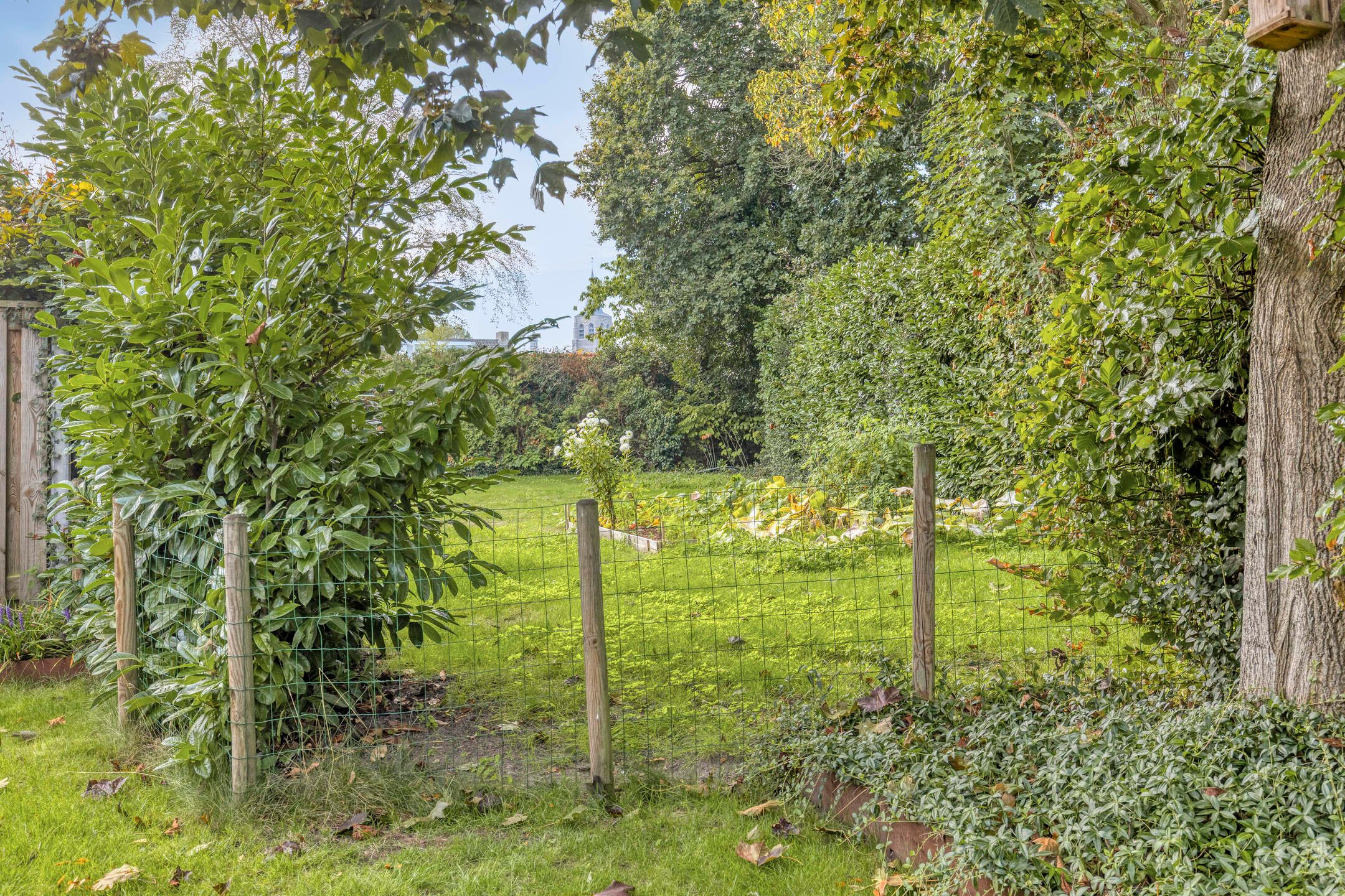 Photo 45 of Haverblok 19