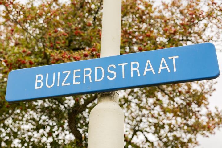Foto 4 van Buizerdstraat 84
