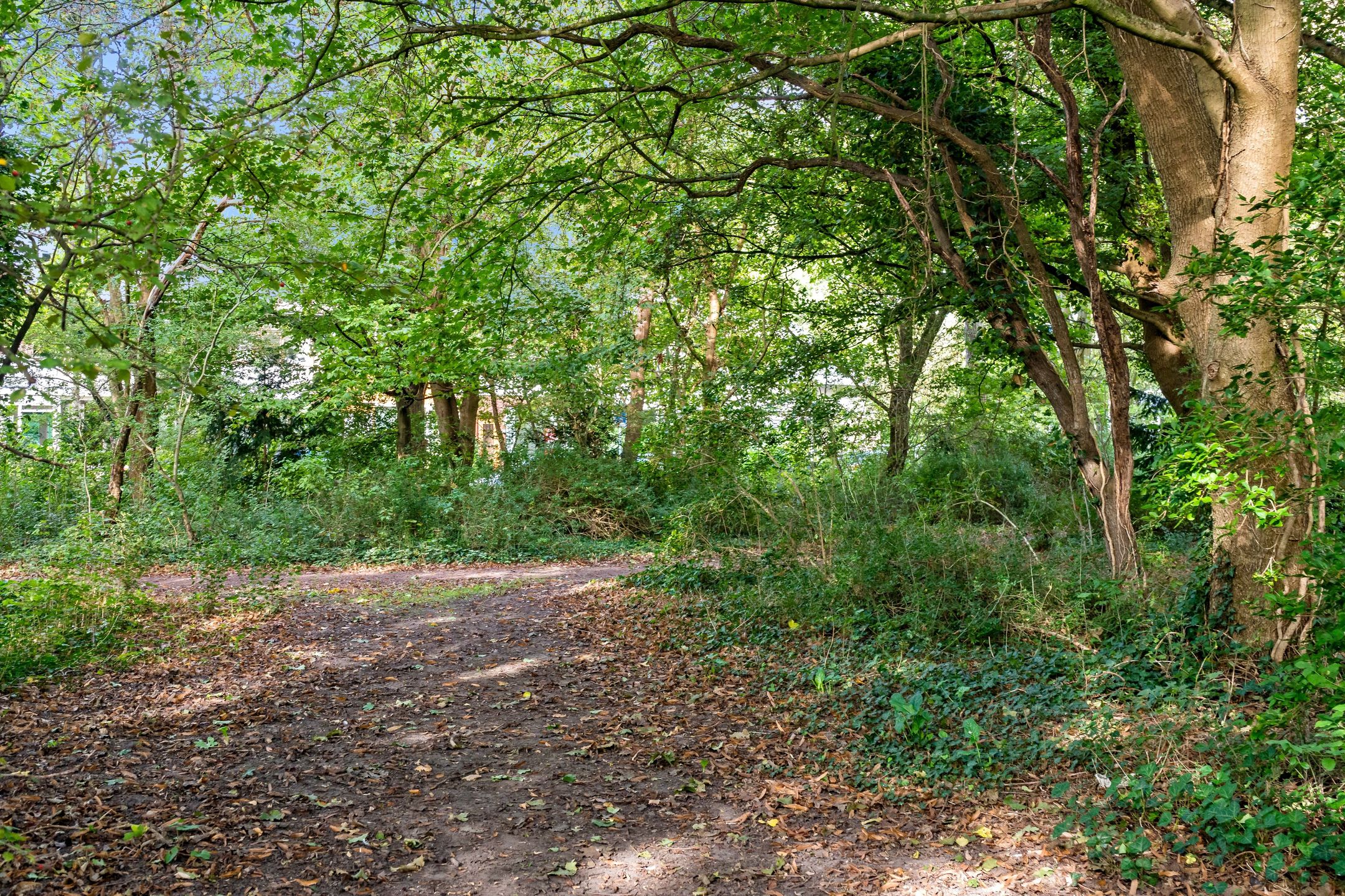 Foto 48 van Van der Kamlaan 23